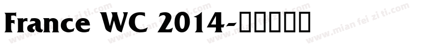France WC 2014字体转换